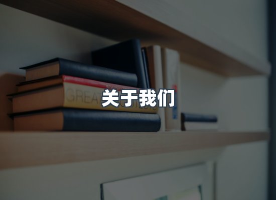 专业团队